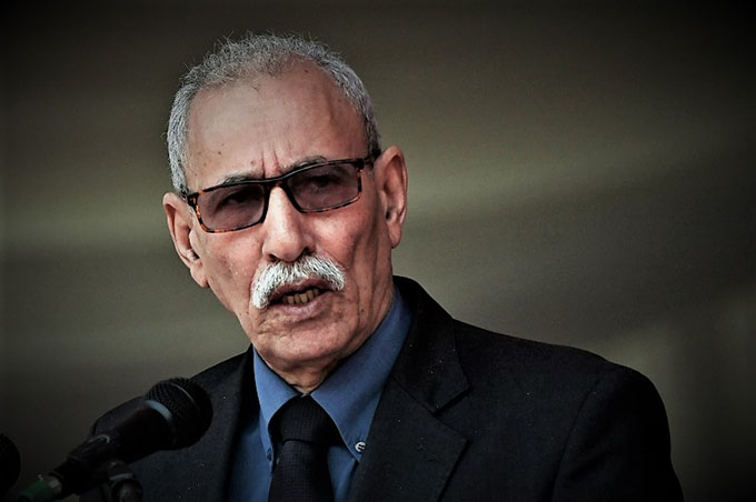 مطالب بضمان حق الشعب الصحراوي في تقرير المصير