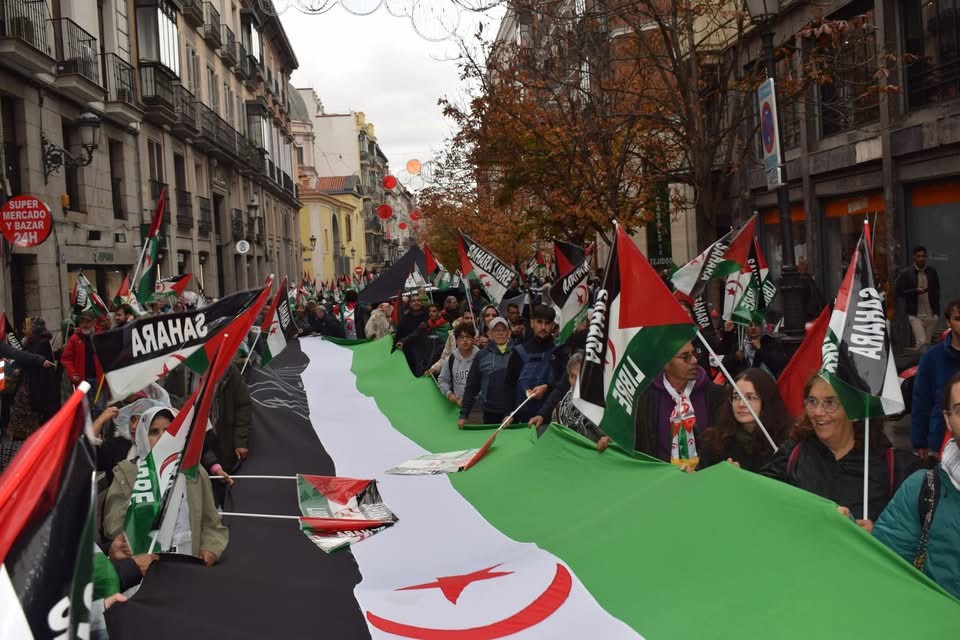 مطالب بضمان حق الشعب الصحراوي في تقرير المصير