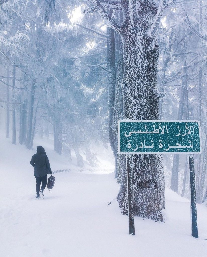 ترقب تساقط لأولى الثلوج في الجزائر نهاية الأسبوع 
