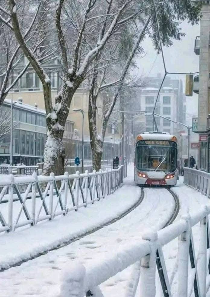 الجزائر على موعد مع أولى التساقطات الثلجية ..وهذه هي الولايات المعنية