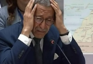 خيبة أمل عمر هلال.. هكذا أصبح مصدر سخرية في أروقة الأمم المتحدة!