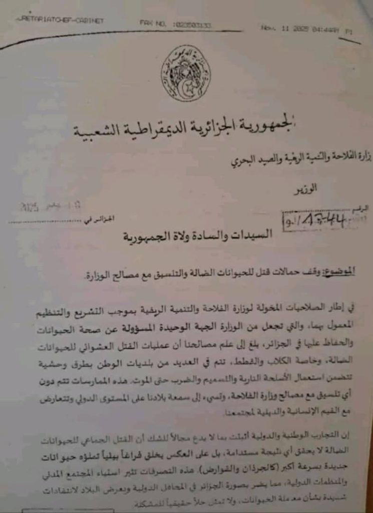 رسمياً..أوامر بالوقف الفوري لحملات قتل الحيوانات الضالة في الجزائر