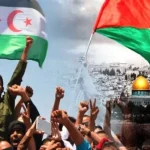 رسالة فلسطينية إلى الصحراء الغربية..مافحواها؟