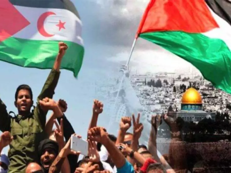 رسالة فلسطينية إلى الصحراء الغربية..مافحواها؟