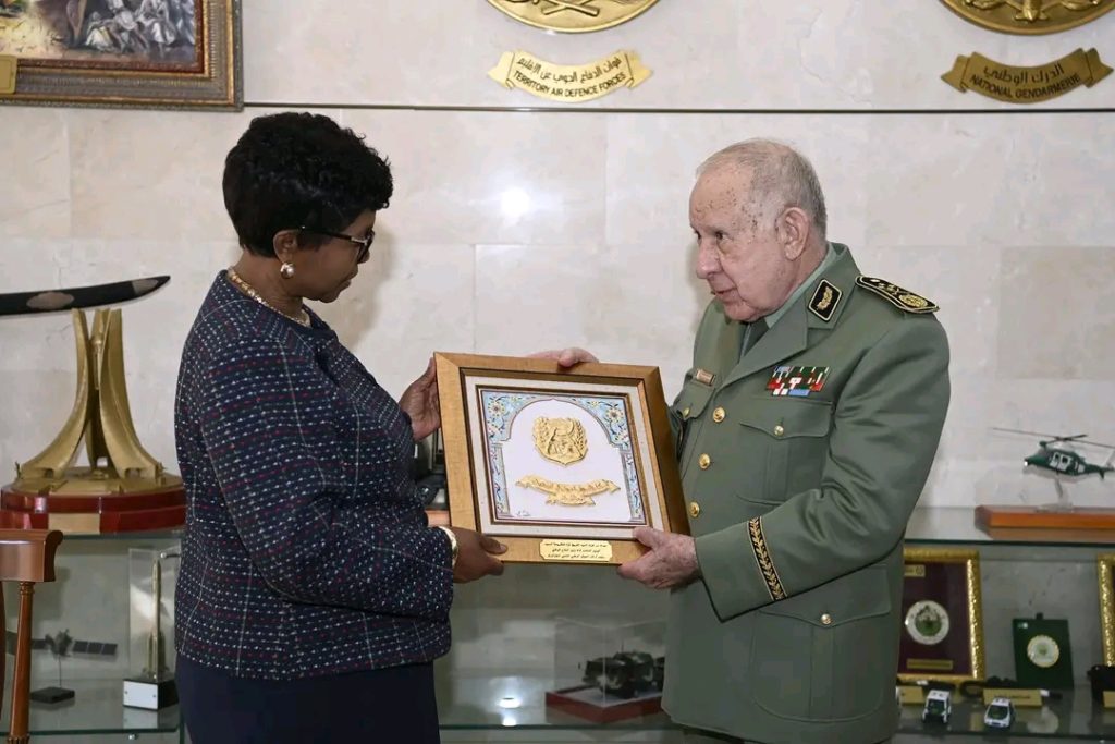 شنقريحة يجري مباحثات مع وزيرة الدفاع لجمهورية زيمبابوي