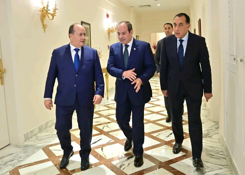السيسي:الجزائر ومصر ركيزتان أساسيتان لاستقرار العالم العربي وشمال أفريقيا