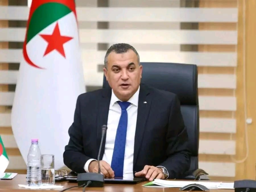 قريبا..كابل بحري جديد لرفع سرعة الأنترنت في الجزائر!