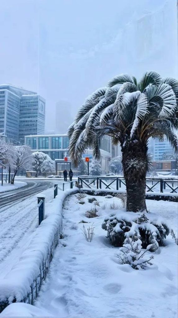 طقس الجزائر: أمطار وثلوج مرتقبة..وهذه الولايات المعنية