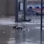 مشاهد صادمة لضحايا فيضانات المغرب!