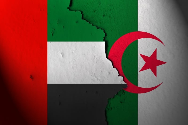 حنون تدعو إلى طرد “الإماراتيين “من ميناء الجزائر   !