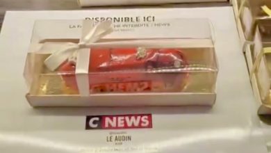 حملة سخرية في الجزائر من “CNEWS” .. ما قصة “la bûche” ؟