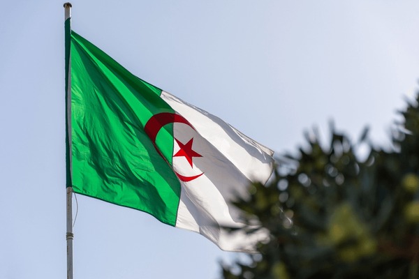 الجزائر تدعو إلى استئناف الحوار السياسي في اليمن