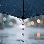 طقس الجزائر.. أمطار ورعود على عدة ولايات