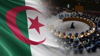 بعد عهدة تاريخية في مجلس الأمن.. الجزائر تسلم المشعل إلى البحرين