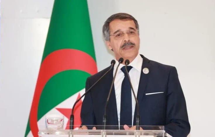 تعديل حدود النطاق الجمركي بالجزائر.. خبر سار لسكان الولايات الحدودية