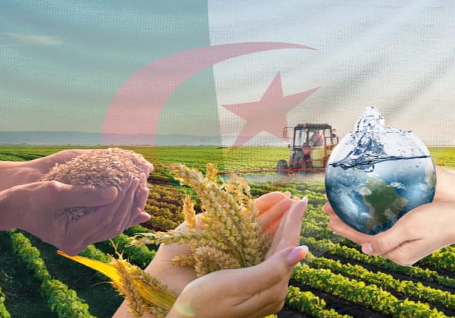 القطاع الفلاحي في الجزائر يحقق رقم أعمال يفوق 38 مليار دولار… توقعات بنمو اقتصادي بنسبة 4.1٪ !
