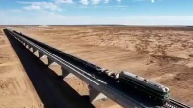 الجزائر تُطلق عملية تشجير كبرى على طول خط “غار جبيلات – بشار”
