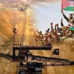 تقرير دولي يفضح “الغسيل الأخضر” للاحتلال المغربي في الصحراء الغربية!