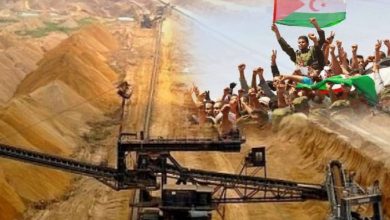 تقرير دولي يفضح “الغسيل الأخضر” للاحتلال المغربي في الصحراء الغربية!