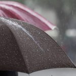 طقس الجزائر: أمطار وزوابع رملية مرتقبة وهذه الولايات المعنية