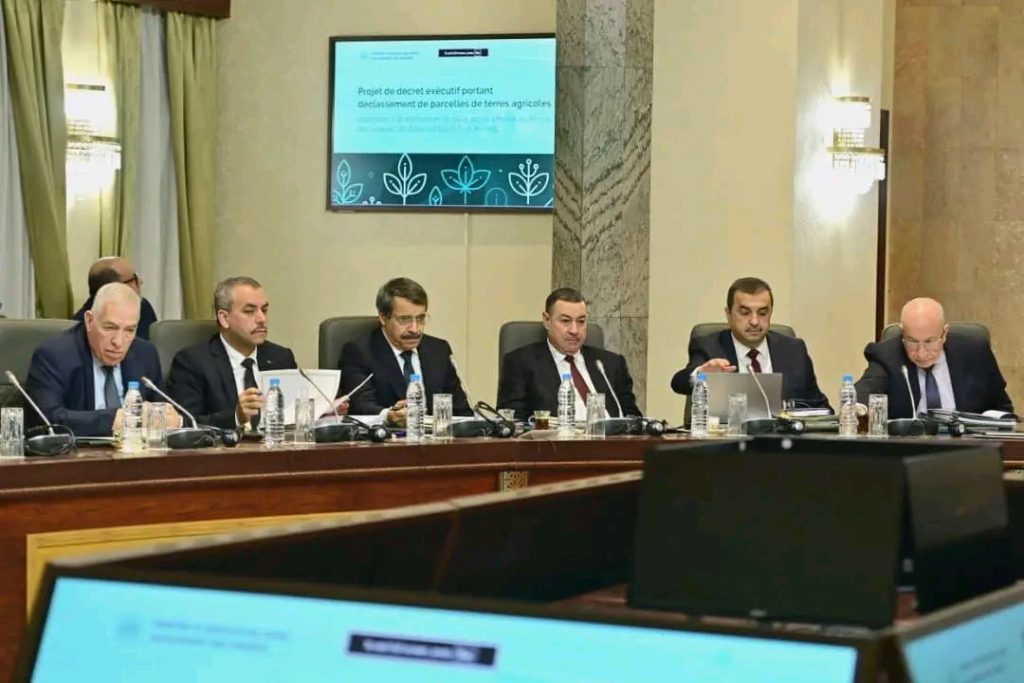 الخريطة الاجتماعية والتحول الرقمي على طاولة الحكومة الجزائرية