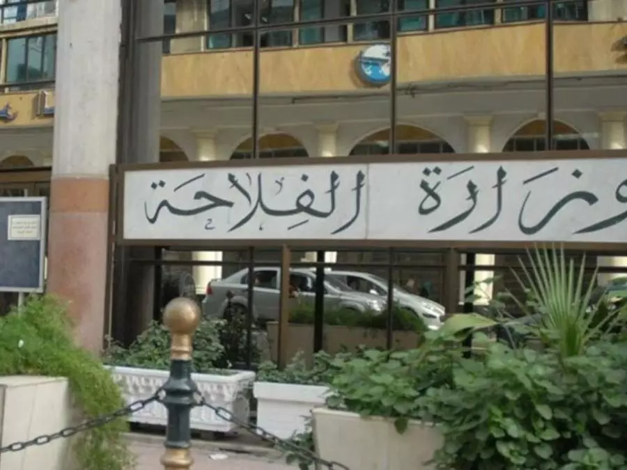 وزارة الفلاحة الجزائرية تعلن عن برنامج استعجالي لاستيراد 1.15 مليون طن من الذرة