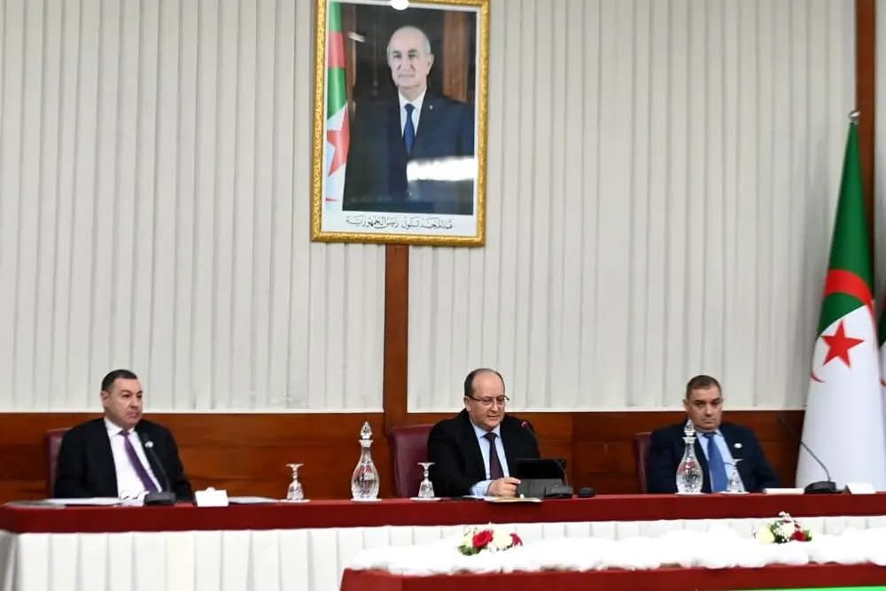 مدير ديوان رئاسة الجمهورية يقدم عرضا يتضمن 10 اقتراحات في التعديل التقني للدستور