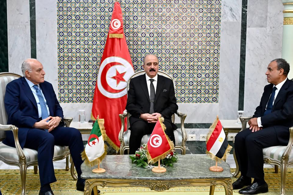بيان جزائري مصري تونسي  يدعو إلى سحب المرتزقة من ليبيا