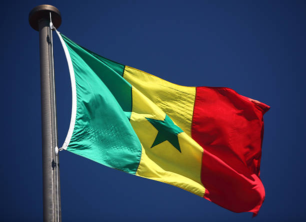 المغاربة يحرقون علم السنغال !
