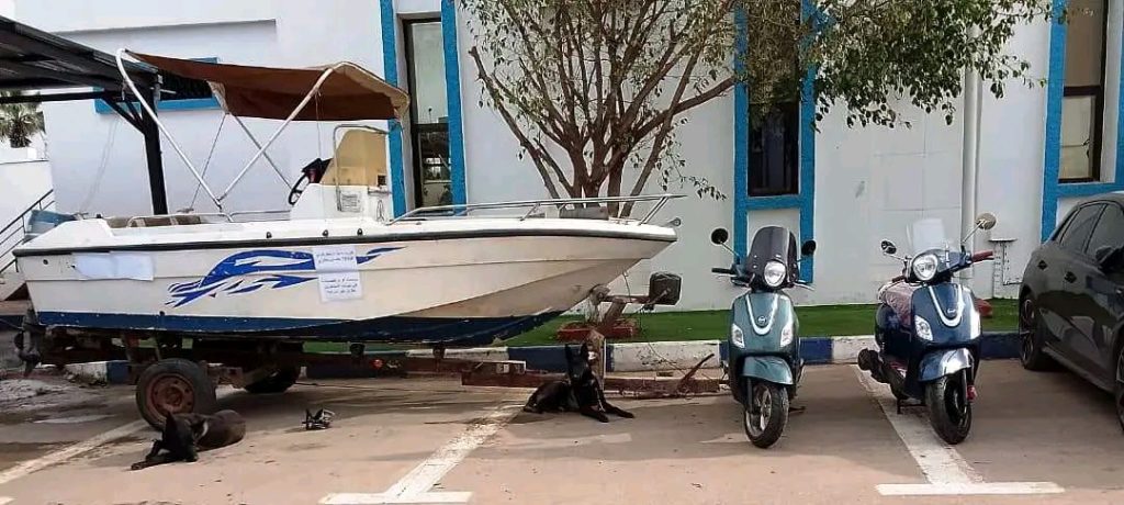 شرطة وهران تطيح بأخطر عصابة تنشط على تيكتوك!