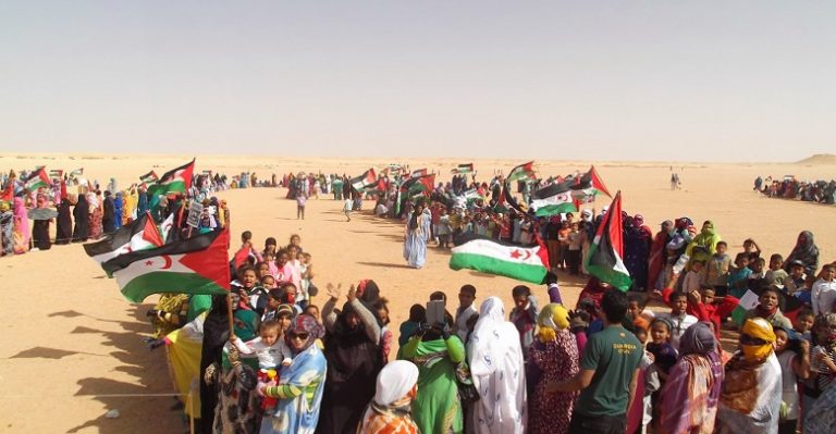 الصحراء الغربية تنافس المغرب على منصب رفيع في الاتحاد الإفريقي