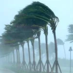 طقس الجزائر : رياح عاتية على هذه الولايات