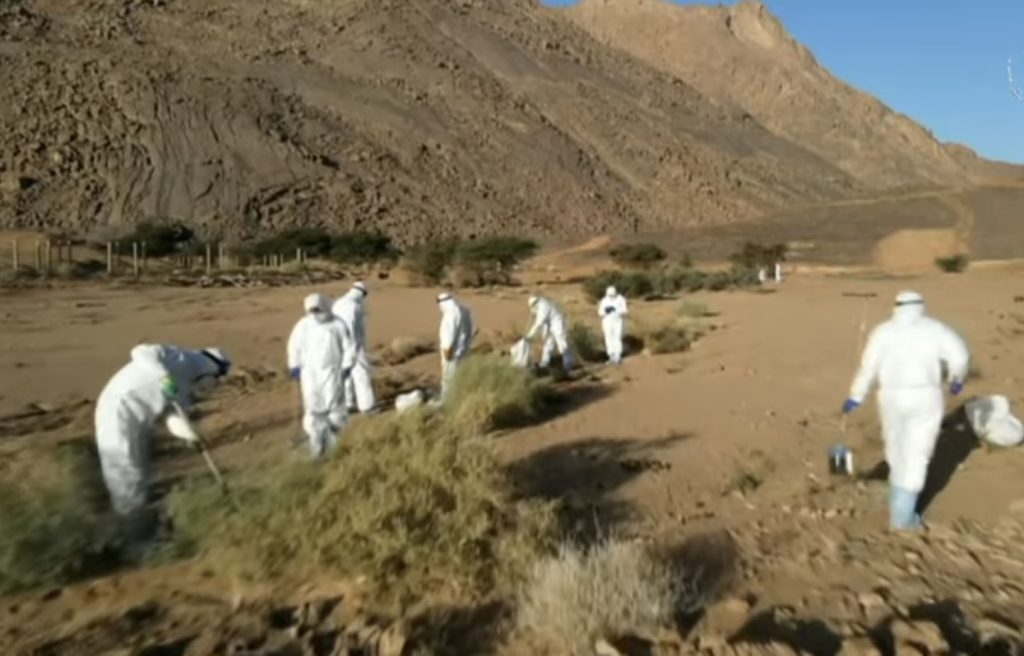 الجزائر تطلق أول عملية تطهير جزئي لمواقع تفجيرات فرنسا النووية