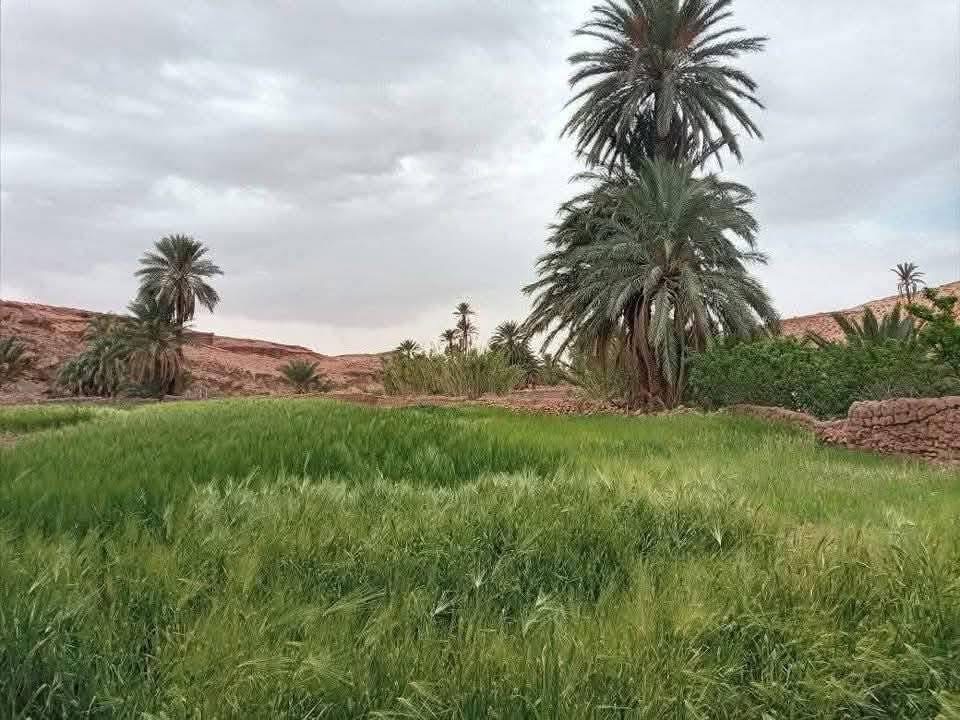 نائب برلماني مغربي يطلب من بوريطة توضيحات بشأن ما يحدث على الحدود المغربية الجزائرية