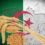 فرنسا مستبعدة.. الجزائر تشتري قمح الطحين في مناقصة دولية