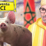 لحم الخنزير يباع في المغرب..محمد السادس يحلل ما حرم الله !