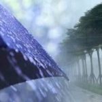 طقس الجزائر : أمطار ورياح على هذه الولايات
