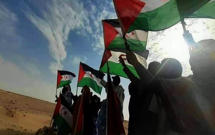 المكسيك تُجدد موقفها الثابت في دعم القضية الصحراوية
