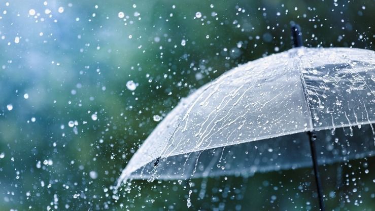 طقس الجزائر : أمطار رعدية ورياح عاتية على هذه الولايات