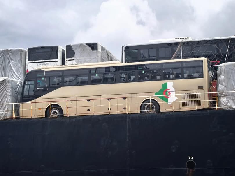 شركة “تيرصام”: وصول حافلات من نوع TS11 إلى ميناء جن جن لتعزيز النقل العمومي