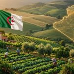 الجزائر تتصدر مؤشر الأمن الغذائي في أفريقيا… النظام الغذائي الأكثر قدرة على الصمود