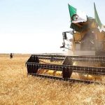 الأمن الغذائي في الجزائر.. استراتيجية لمضاعفة القدرات التخزينية ومردودية الحبوب