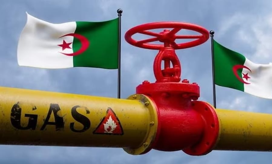 معرض الصحافة الإيطالية : تبون يتصدر عناوين الصحف.. “Amiamo l’Algeria”