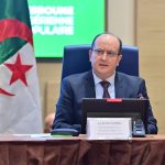 سيفي غريب : الإرادة السياسية لقائدي الجزائر والنيجر يجب أن تتحول إلى إنجازات ملموسة
