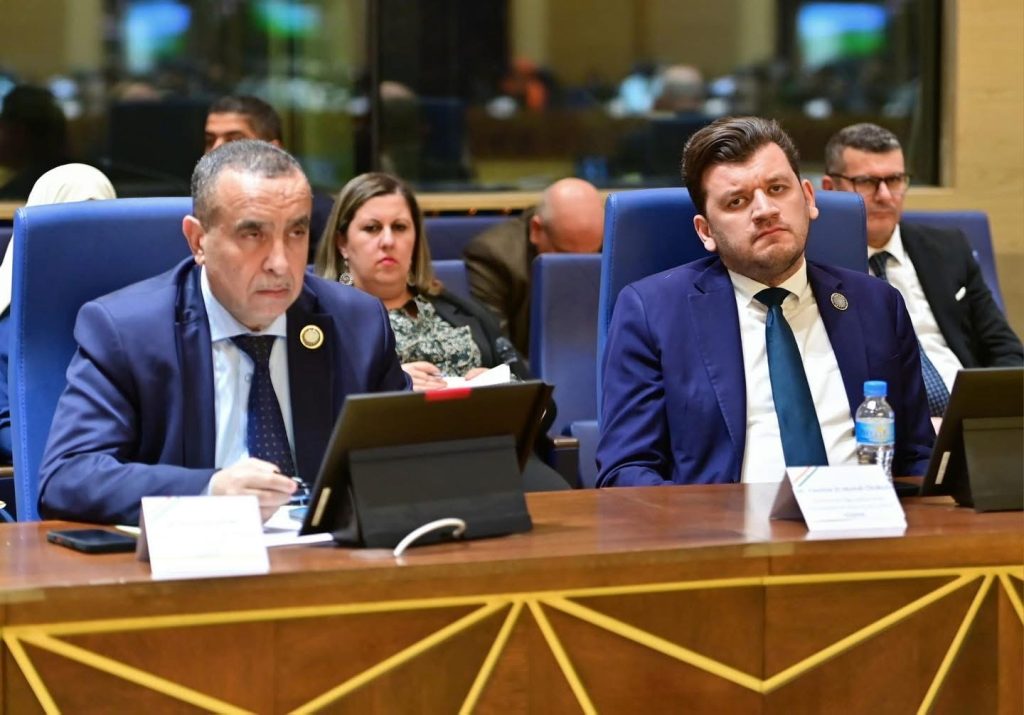 سيفي غريب : الإرادة السياسية لقائدي الجزائر والنيجر يجب أن تتحول إلى إنجازات ملموسة