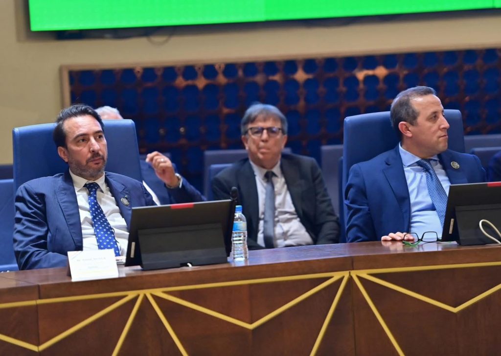 سيفي غريب : الإرادة السياسية لقائدي الجزائر والنيجر يجب أن تتحول إلى إنجازات ملموسة