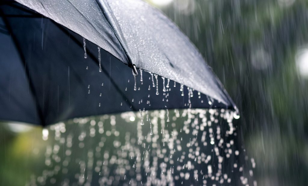 طقس الجزائر.. أمطار غزيرة ورياح على عدة ولايات