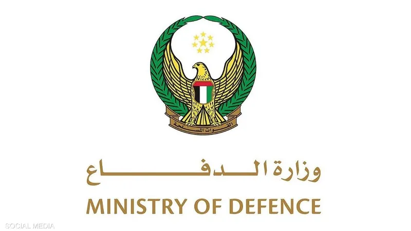 مصرع عسكريين إماراتيين إثر سقوط طائرة بسبب عطل فني