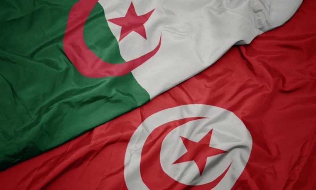 فتح خطوط برية دولية جديدة تربط الجزائر بتونس