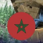 شبكات المخدرات القادمة من المغرب تشكل منظومة إجرامية تهدد الأمن والاستقرار